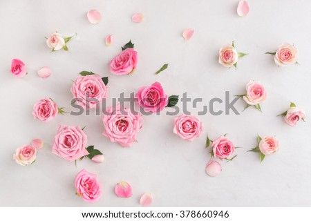 Assorted roses  heads. Various soft roses  and leaves scattered on a vintage background, overhead view Royalty-Free Stock Photo #378660946