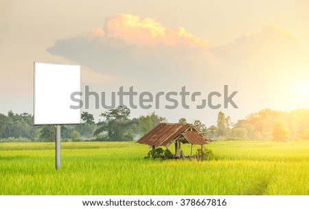 Mock up in rice farm with sun light, Thailand.