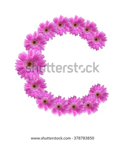 English alphabet from purple flowers on white background (whit clipping path)