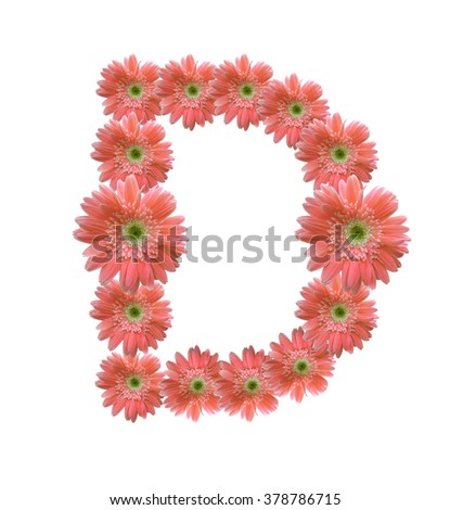 English alphabet from orange flowers on white background (whit clipping path)