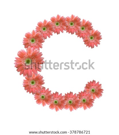 English alphabet from orange flowers on white background (whit clipping path)