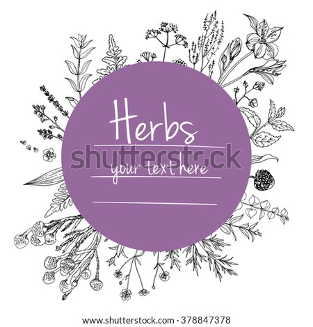 Herbs and flowers painted black line. Space for text. Vector drawing. Template with a sketch of herbs.