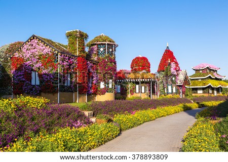 Dubai miracle garden with over 45 million flowers in a sunny day Royalty-Free Stock Photo #378893809