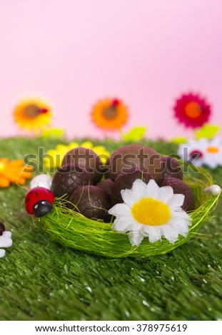 An Easter background with some chocolate  eggs, flowers, grass.
