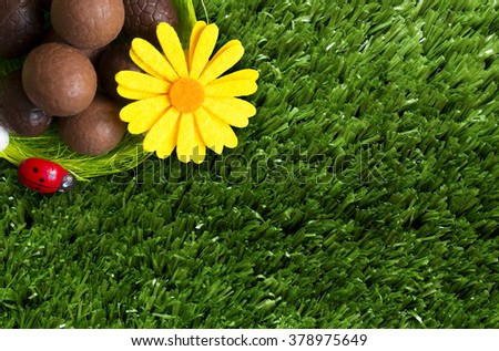 An Easter background with some chocolate eggs, a flower, grass.