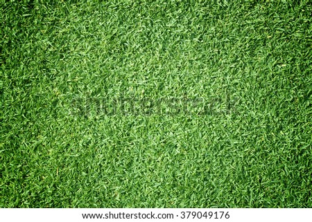 Golf Courses green lawn pattern textured background.