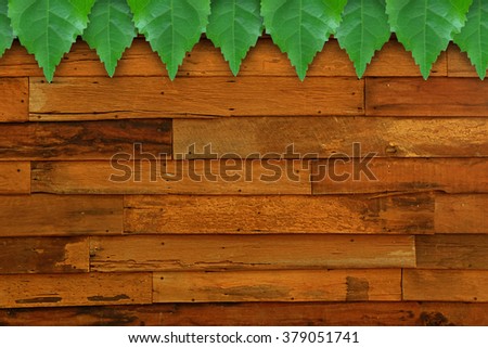 Old wooden background with green leaves frame