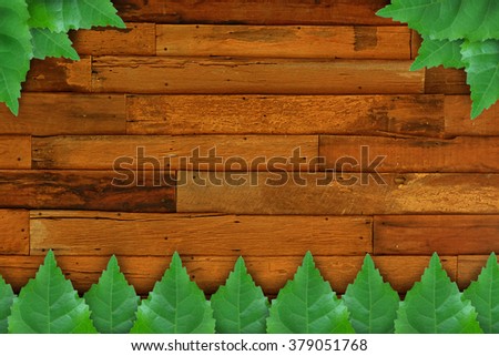 Old wooden background with green leaves frame