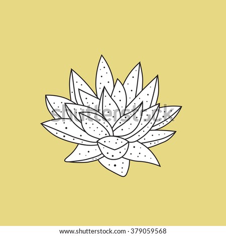 Succulent flower, hand drawn vector illustration, black and white graphic