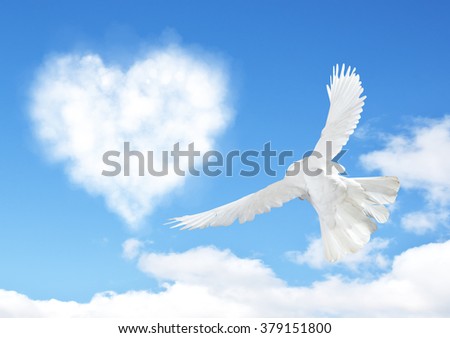 Blue sky with hearts shape clouds and dove. Love concept
