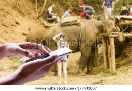 In the dry season, man use mobile phone have tourists riding elephants in the wild as background.