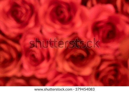Blurred background roses red