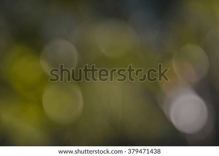 Blurred forest background, natural bokeh.