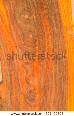 Bright colors of the  heartwood from tropical Thailand.