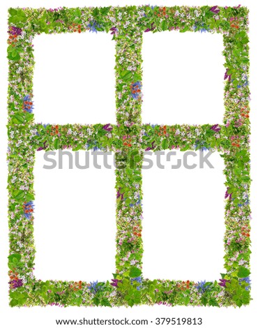 Green Spring Eco windows frame abstract collage made from fresh spring branches plants  and  flowers. Isolated
