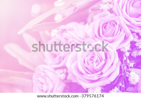 bouquet of beautiful roses with a color filter.