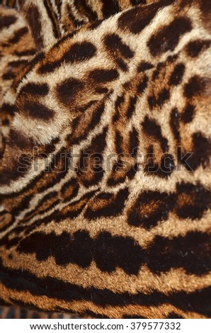 leopard fur background