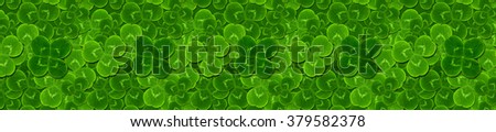 Beautiful background pattern of green leaves of clover. Natural background. Website template.
