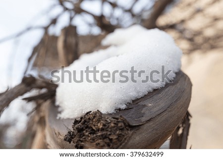snow in spring in nature