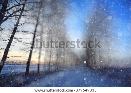 winter background blur forest snowflakes bokeh