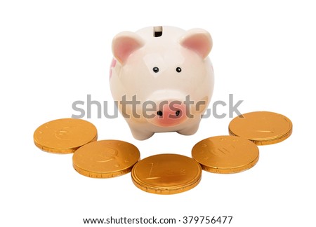 Pig piggy bank with coins on white background