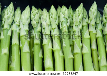 A lot of fresh asparagus on the black background.