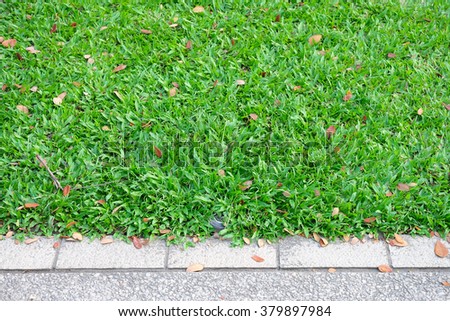 green grass on stone floor background texture.
