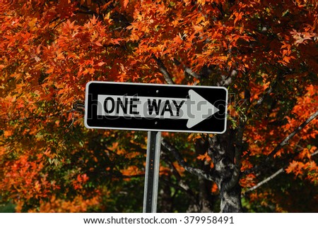 one way sign against autumn trees