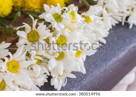 The white flower on the white background