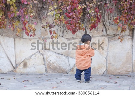 Happy Chinese baby boy standing in front of Boston Ivy, shot in Beijing, China