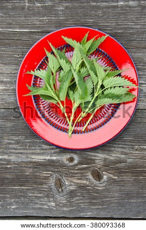 Young green nettles in red plate on old rustic wooden surface