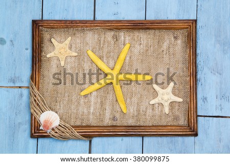 picture of starfish