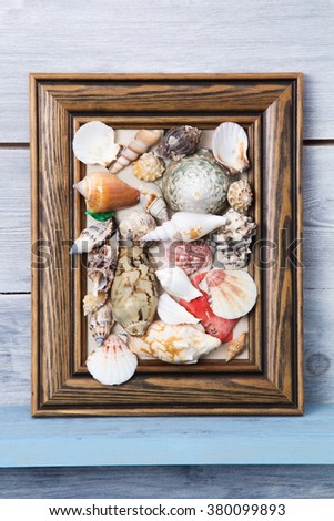 picture of seashells