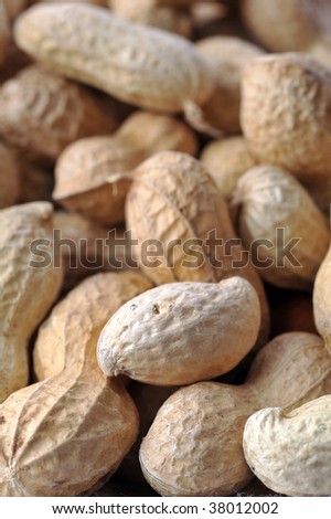 many peanuts very  close up