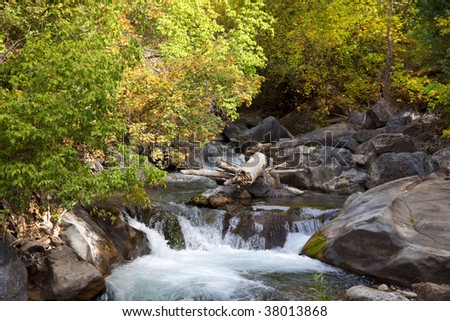 Mountain river in the fall with fall colors