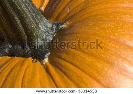 Close pumpkin background.