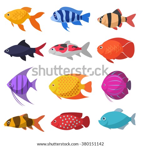 Isolated river fish. Set of freshwater aquarium cartoon fishes. varieties of ornamental popular color fish. Flat design fish. Vector illustration, fishes. fish collection. aquarium modern flat fishes.
