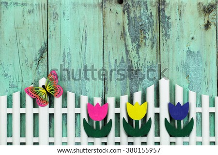 White picket fence with  colorful spring flowers and butterfly by antique rustic mint green wood background; yellow, purple and pink tulips