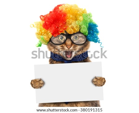 Funny cat in costume clown. White label for text