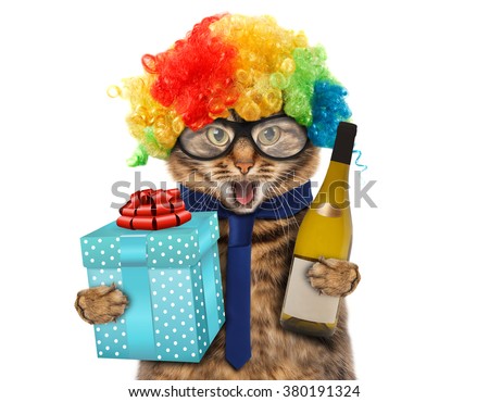 Funny cat in costume clown. 