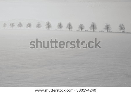 Snow field with trees in the background.