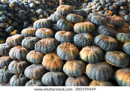 pile of pumpkin for sale