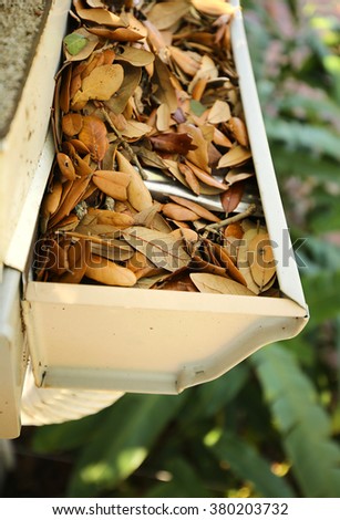 Aerial view of a clogged gutter and downspout filled with live oak leaves Royalty-Free Stock Photo #380203732