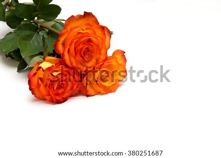 bouquet of orange roses isolated on white background
