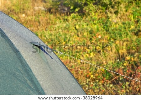  touristic tent in a bush background