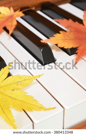 Autumn leaves (maple) and piano