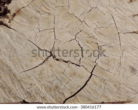 Pattern background of wood.          