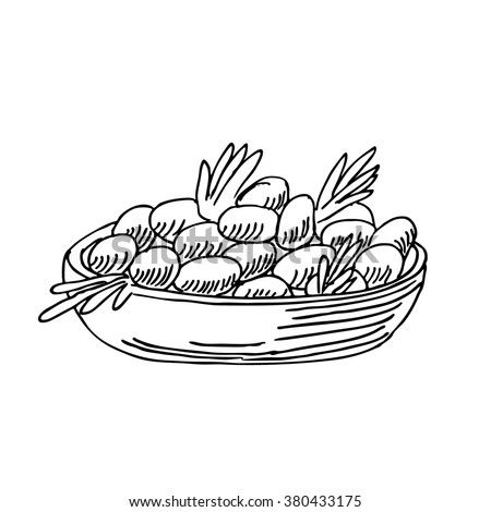 Fresh vegetarian salad in plate or dish or bowl 
 food sketch  drawing. Vintage line style illustration. 
For healthy food, restaurant and  cafe design
