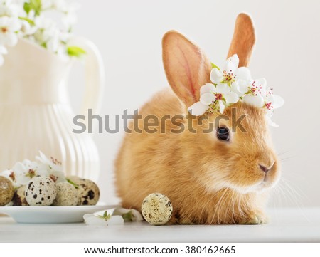 Red rabbit with Easter eggs on white background