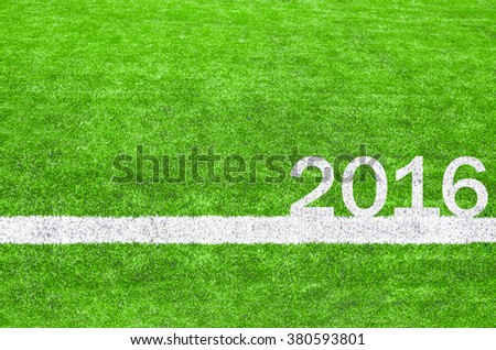 2016 white stripe on the green soccer field.